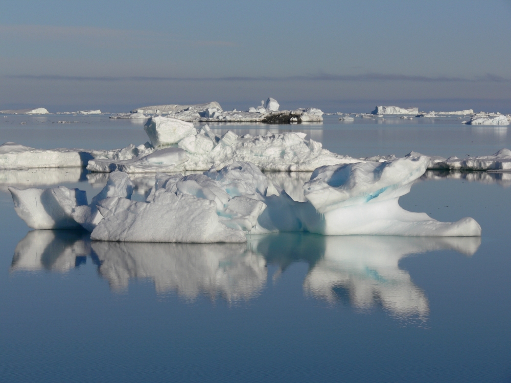 Pourquoi pas l'Antarctique ? - Chiloé Productions